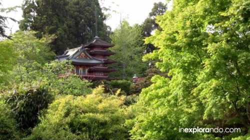 Jardín del Té Japonés